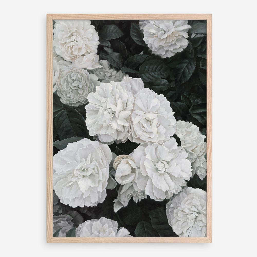 Buy White English Roses Art Print The Print Emporium buy-white-english-roses-art-print-the-print-emporium