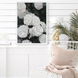 Shop White English Roses Art Print a floral themed painted wall art print from The Print Emporium wall artwork collection - Buy Australian made fine art painting style poster and framed prints for the home and your interior decor room, TPE-008-AP