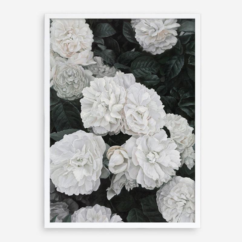 Shop White English Roses Art Print a floral themed painted wall art print from The Print Emporium wall artwork collection - Buy Australian made fine art painting style poster and framed prints for the home and your interior decor room, TPE-008-AP