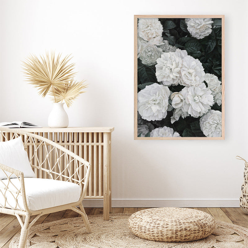 Shop White English Roses Art Print a floral themed painted wall art print from The Print Emporium wall artwork collection - Buy Australian made fine art painting style poster and framed prints for the home and your interior decor room, TPE-008-AP