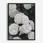 Shop White English Roses Canvas Print a floral themed painted framed canvas wall art print from The Print Emporium artwork collection - Buy Australian made fine art painting style stretched canvas prints for the home and your interior decor space, TPE-008-CA-35X46-NF