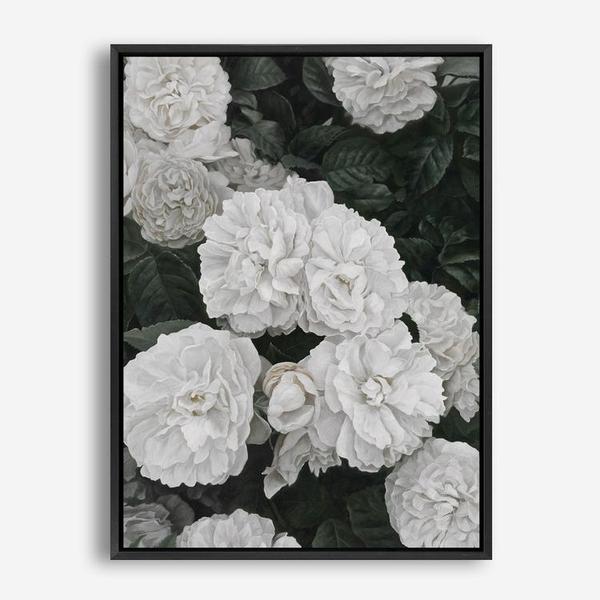 Shop White English Roses Canvas Print a floral themed painted framed canvas wall art print from The Print Emporium artwork collection - Buy Australian made fine art painting style stretched canvas prints for the home and your interior decor space, TPE-008-CA-35X46-NF