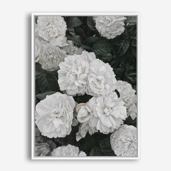 Shop White English Roses Canvas Print a floral themed painted framed canvas wall art print from The Print Emporium artwork collection - Buy Australian made fine art painting style stretched canvas prints for the home and your interior decor space, TPE-008-CA-35X46-NF