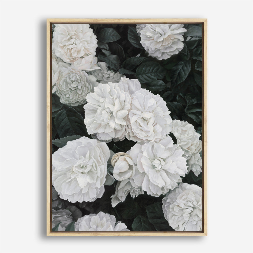 Shop White English Roses Canvas Print a floral themed painted framed canvas wall art print from The Print Emporium artwork collection - Buy Australian made fine art painting style stretched canvas prints for the home and your interior decor space, TPE-008-CA-35X46-NF