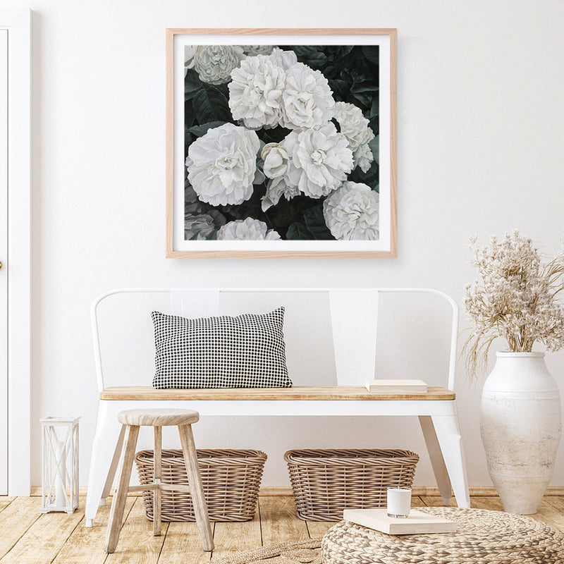 Shop White English Roses (Square) Art Print a floral themed painted wall art print from The Print Emporium wall artwork collection - Buy Australian made fine art painting style poster and framed prints for the home and your interior decor room, TPE-063-AP