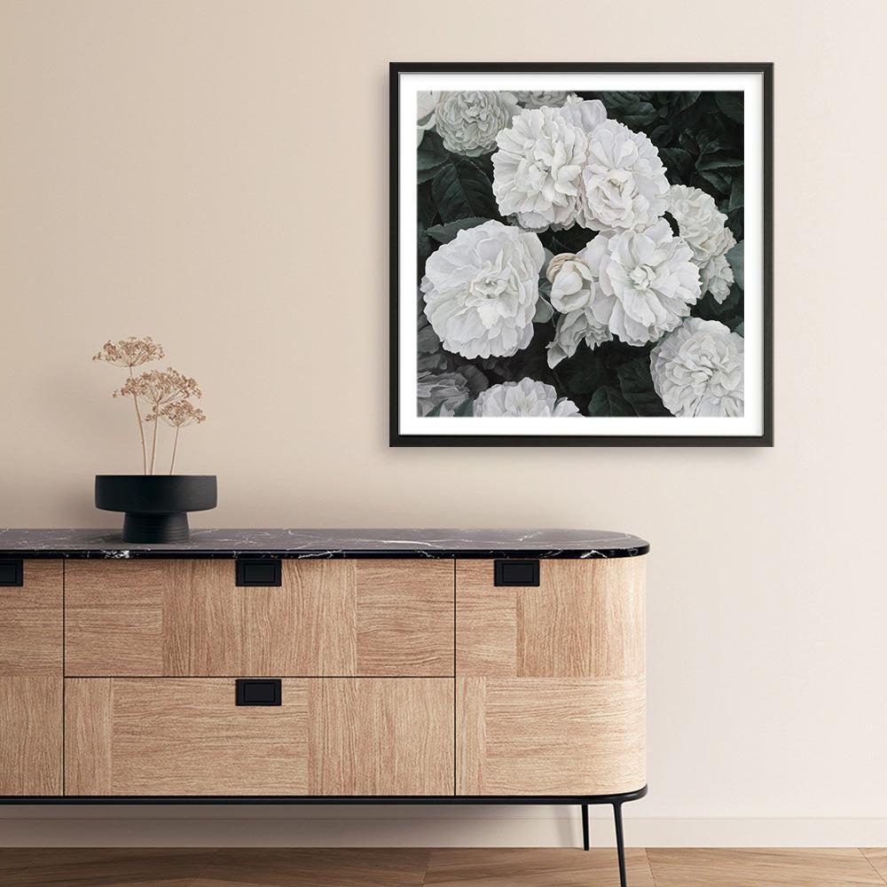 Shop White English Roses (Square) Art Print a floral themed painted wall art print from The Print Emporium wall artwork collection - Buy Australian made fine art painting style poster and framed prints for the home and your interior decor room, TPE-063-AP