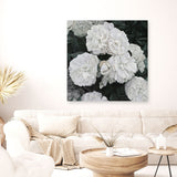 Shop White English Roses (Square) Canvas Print a floral themed painted framed canvas wall art print from The Print Emporium artwork collection - Buy Australian made fine art painting style stretched canvas prints for the home and your interior decor space, TPE-063-CA-40X40-NF