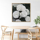 Shop White English Roses (Square) Canvas Print a floral themed painted framed canvas wall art print from The Print Emporium artwork collection - Buy Australian made fine art painting style stretched canvas prints for the home and your interior decor space, TPE-063-CA-40X40-NF