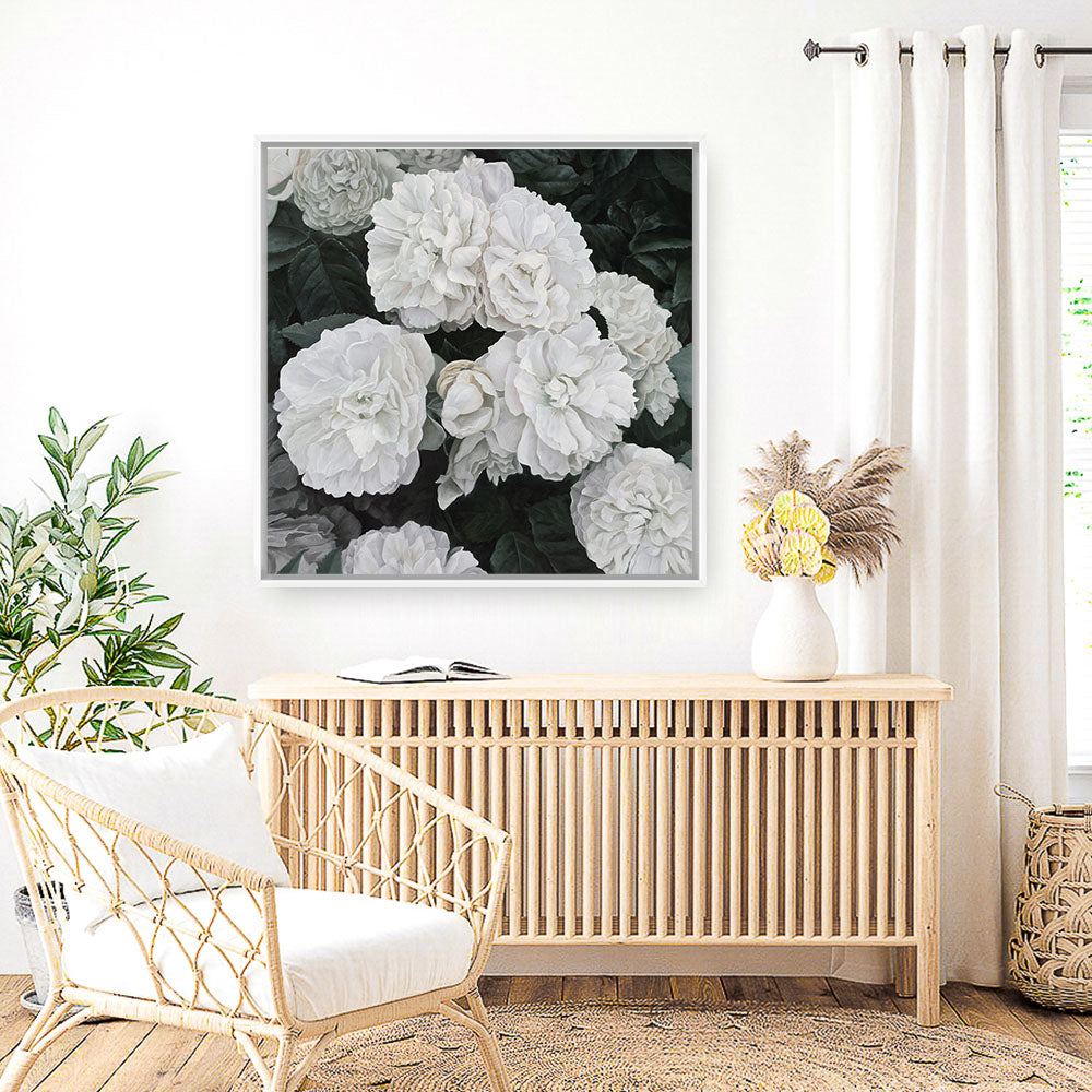 Shop White English Roses (Square) Canvas Print a floral themed painted framed canvas wall art print from The Print Emporium artwork collection - Buy Australian made fine art painting style stretched canvas prints for the home and your interior decor space, TPE-063-CA-40X40-NF