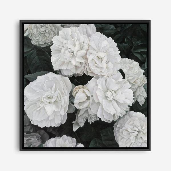 Shop White English Roses (Square) Canvas Print a floral themed painted framed canvas wall art print from The Print Emporium artwork collection - Buy Australian made fine art painting style stretched canvas prints for the home and your interior decor space, TPE-063-CA-40X40-NF