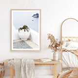 Shop White Grecian Urn Photo Art Print a coastal themed photography wall art print from The Print Emporium wall artwork collection - Buy Australian made fine art poster and framed prints for the home and your interior decor, TPE-1329-AP