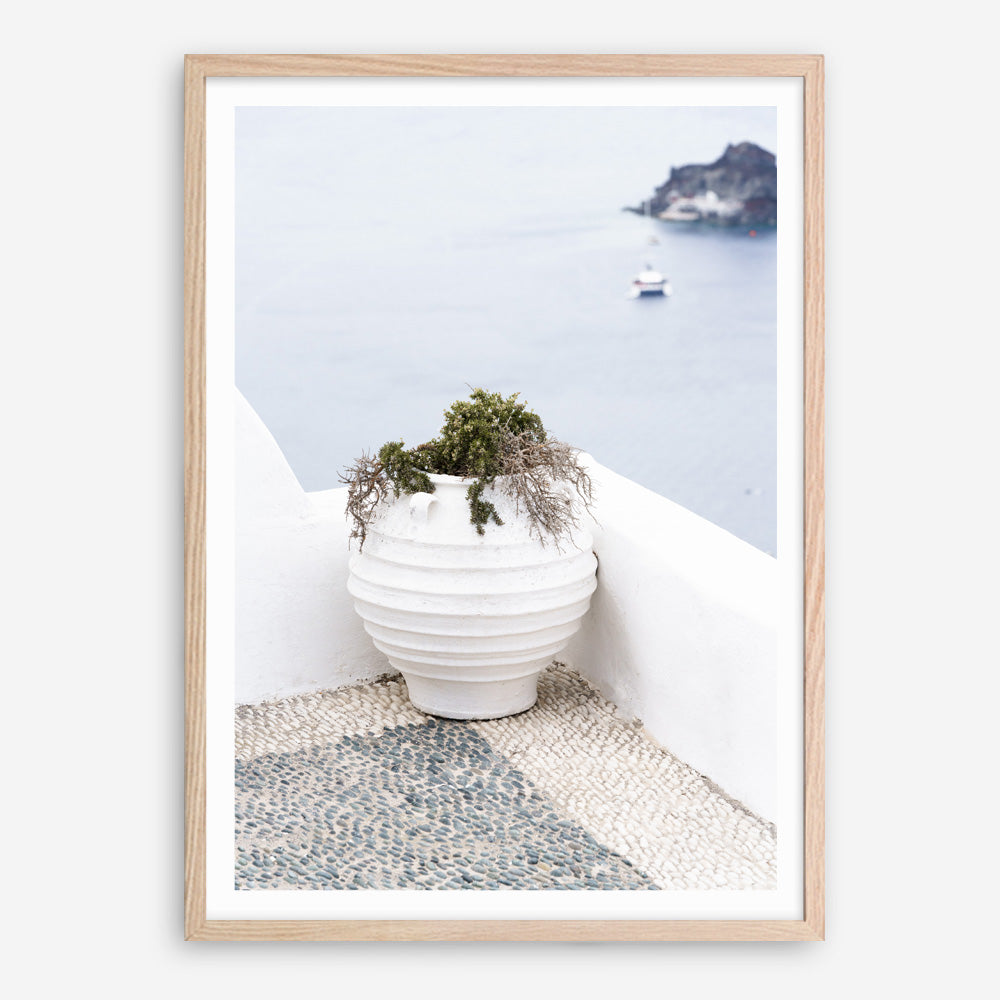 Shop White Grecian Urn Photo Art Print a coastal themed photography wall art print from The Print Emporium wall artwork collection - Buy Australian made fine art poster and framed prints for the home and your interior decor, TPE-1329-AP