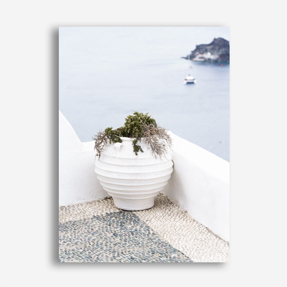 Shop White Grecian Urn Photo Canvas Print a coastal themed photography framed stretched canvas print from The Print Emporium wall artwork collection - Buy Australian made prints for the home and your interior decor space, TPE-1329-CA-35X46-NF