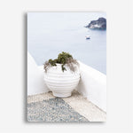 Shop White Grecian Urn Photo Canvas Print a coastal themed photography framed stretched canvas print from The Print Emporium wall artwork collection - Buy Australian made prints for the home and your interior decor space, TPE-1329-CA-35X46-NF