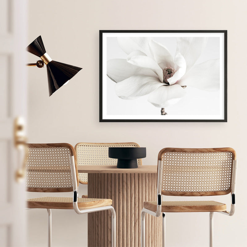 Shop White Magnolia Flower Photo Art Print a floral themed photography wall art print from The Print Emporium wall artwork collection - Buy Australian made fine art poster and framed prints for the home and your interior decor room, TPE-591-AP