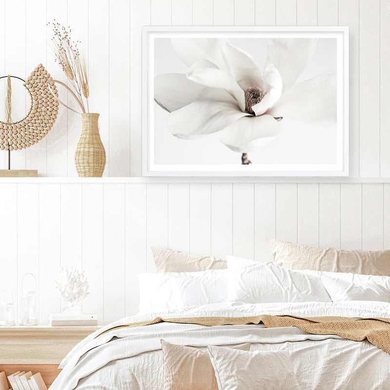 Shop White Magnolia Flower Photo Art Print a floral themed photography wall art print from The Print Emporium wall artwork collection - Buy Australian made fine art poster and framed prints for the home and your interior decor room, TPE-591-AP