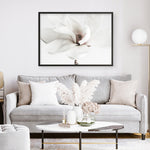Shop White Magnolia Flower Photo Art Print a floral themed photography wall art print from The Print Emporium wall artwork collection - Buy Australian made fine art poster and framed prints for the home and your interior decor room, TPE-591-AP