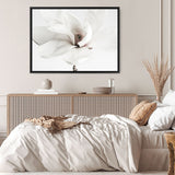 Shop White Magnolia Flower Photo Canvas Print a floral themed photography framed stretched canvas print from The Print Emporium wall artwork collection - Buy Australian made prints for the home and your interior decor space, TPE-591-CA-35X46-NF