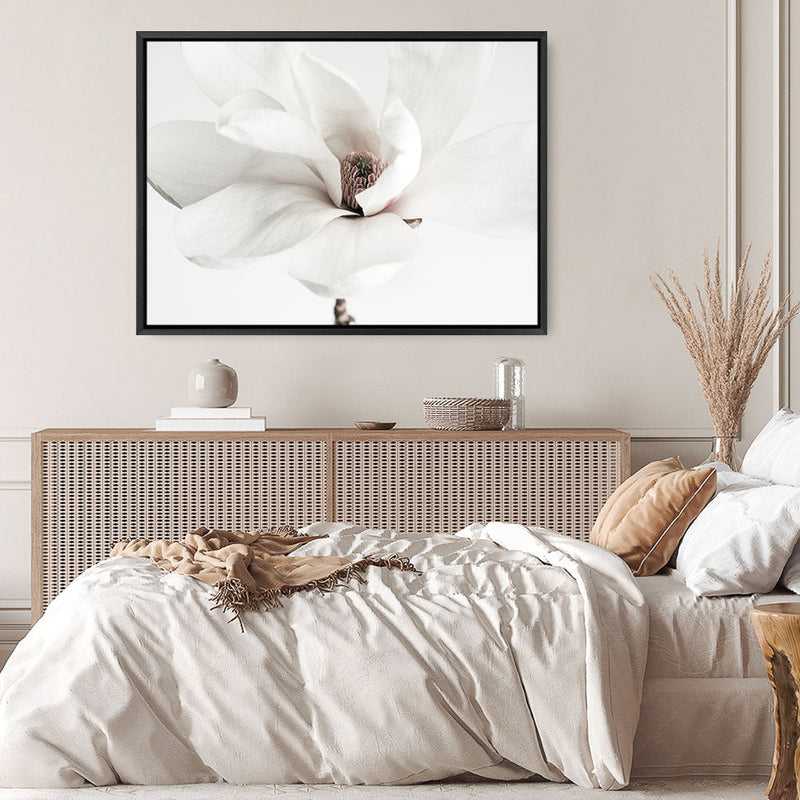 Shop White Magnolia Flower Photo Canvas Print a floral themed photography framed stretched canvas print from The Print Emporium wall artwork collection - Buy Australian made prints for the home and your interior decor space, TPE-591-CA-35X46-NF
