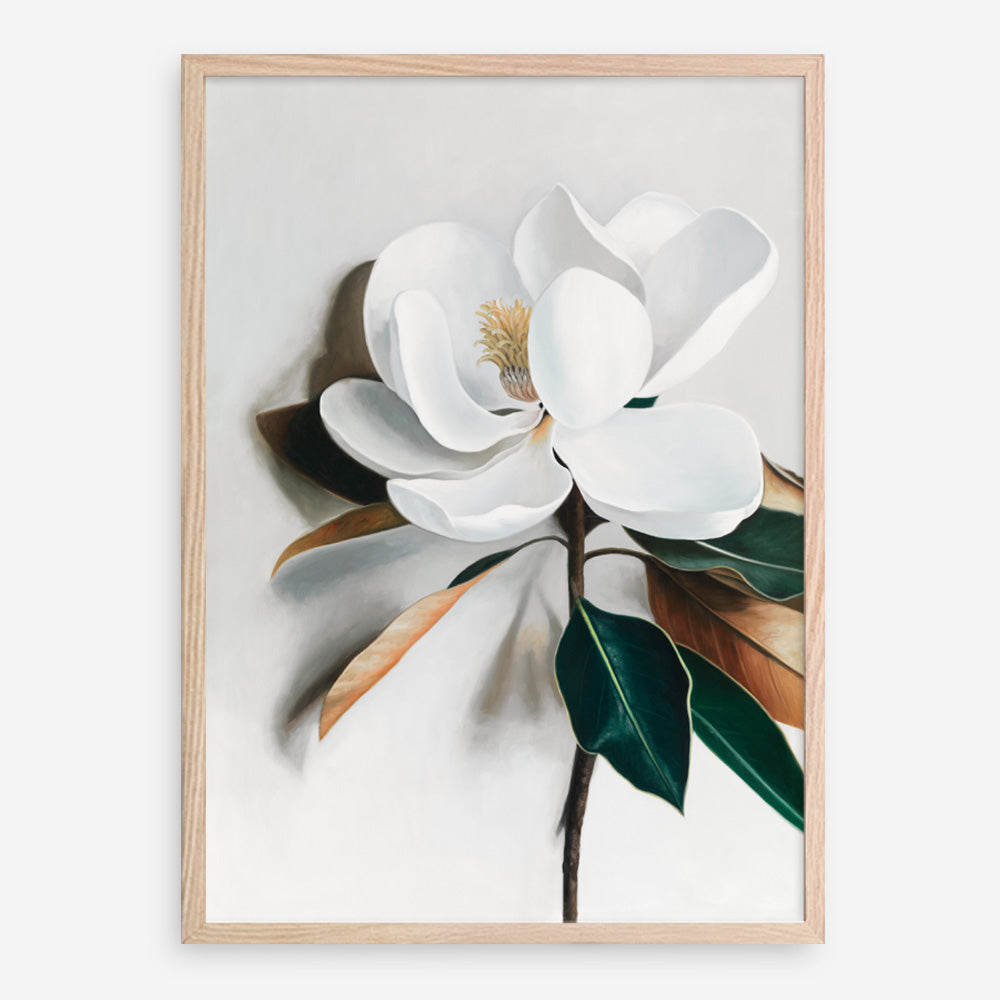Shop White Magnolia I Art Print a floral themed painted wall art print from The Print Emporium wall artwork collection - Buy Australian made fine art painting style poster and framed prints for the home and your interior decor room, TPE-668-AP