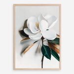 Shop White Magnolia I Art Print a floral themed painted wall art print from The Print Emporium wall artwork collection - Buy Australian made fine art painting style poster and framed prints for the home and your interior decor room, TPE-668-AP