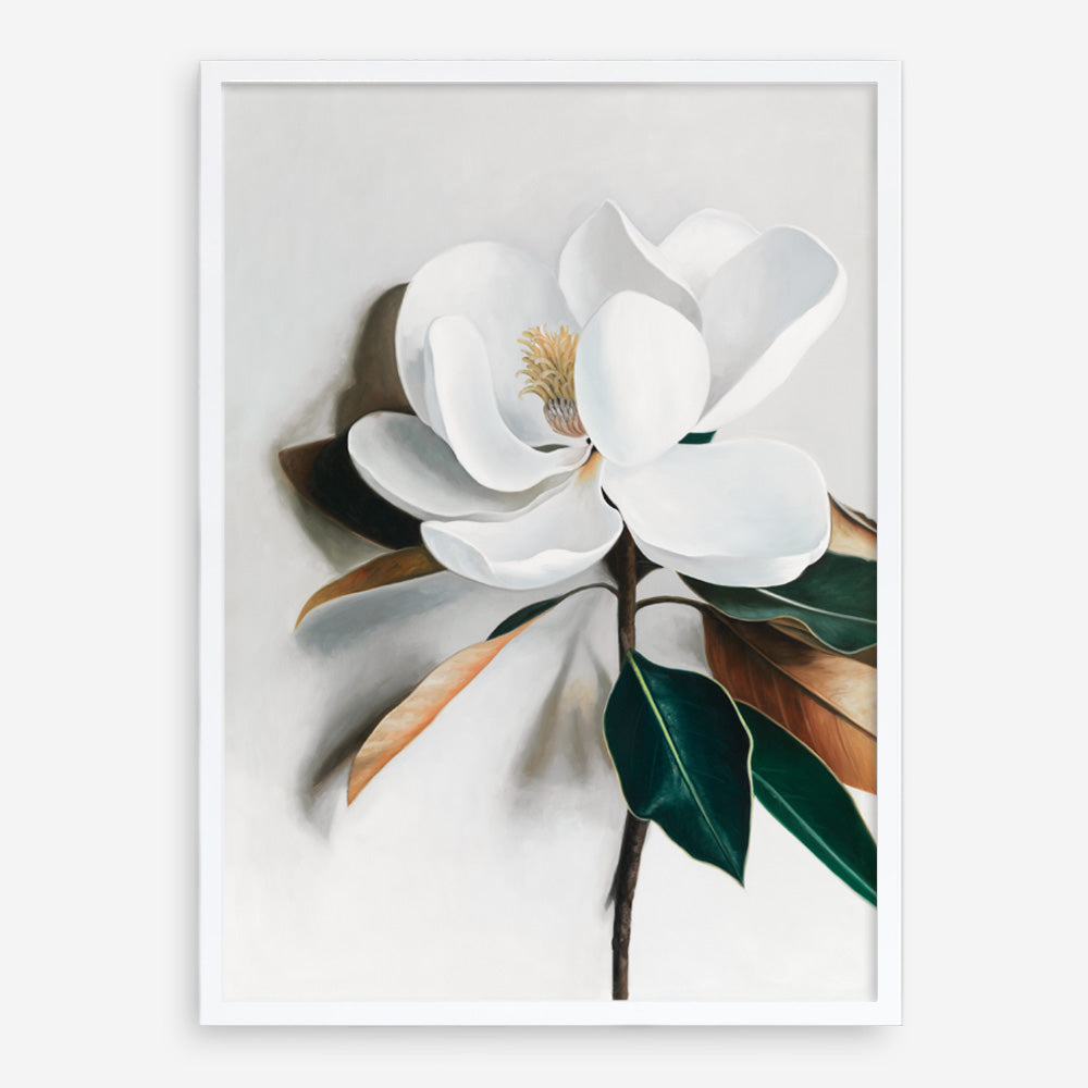 Shop White Magnolia I Art Print a floral themed painted wall art print from The Print Emporium wall artwork collection - Buy Australian made fine art painting style poster and framed prints for the home and your interior decor room, TPE-668-AP