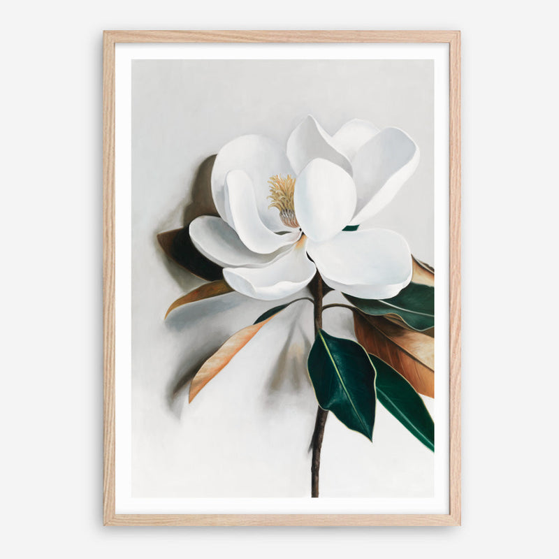Shop White Magnolia I Art Print a floral themed painted wall art print from The Print Emporium wall artwork collection - Buy Australian made fine art painting style poster and framed prints for the home and your interior decor room, TPE-668-AP