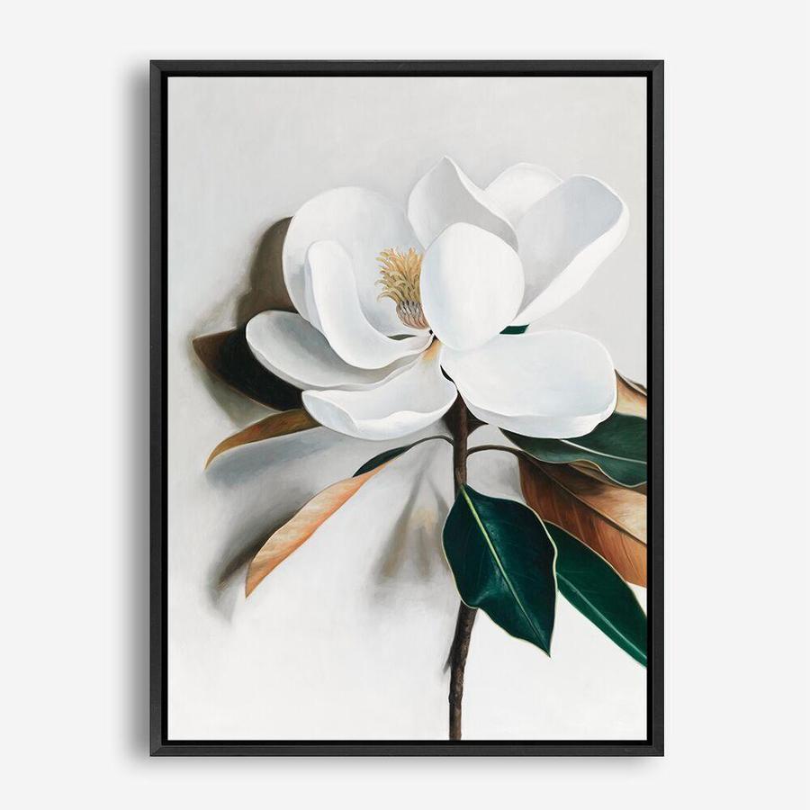 Shop White Magnolia I Canvas Print a floral themed painted framed canvas wall art print from The Print Emporium artwork collection - Buy Australian made fine art painting style stretched canvas prints for the home and your interior decor space, TPE-668-CA-35X46-NF
