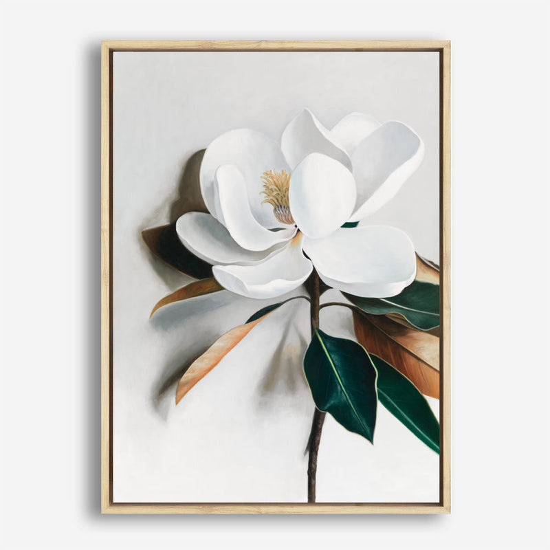 Shop White Magnolia I Canvas Print a floral themed painted framed canvas wall art print from The Print Emporium artwork collection - Buy Australian made fine art painting style stretched canvas prints for the home and your interior decor space, TPE-668-CA-35X46-NF