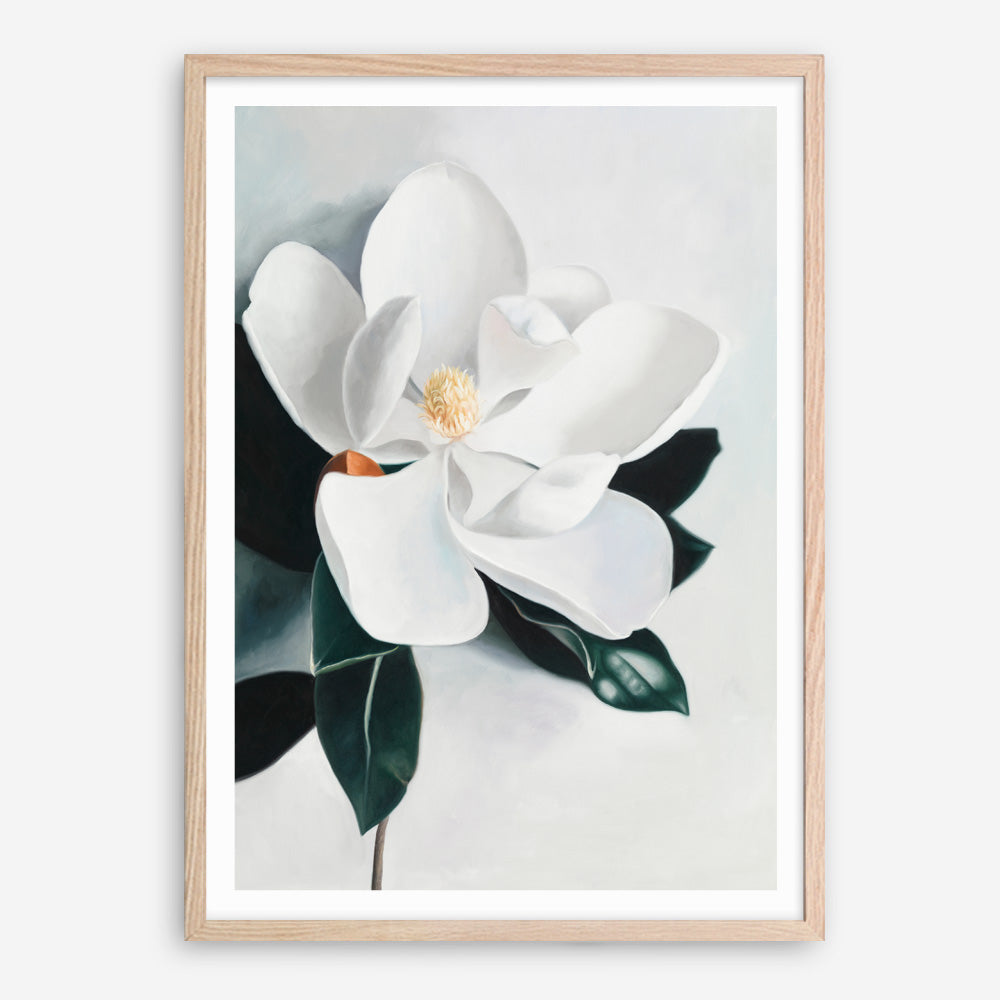 Shop White Magnolia II Art Print a floral themed painted wall art print from The Print Emporium wall artwork collection - Buy Australian made fine art painting style poster and framed prints for the home and your interior decor room, TPE-669-AP