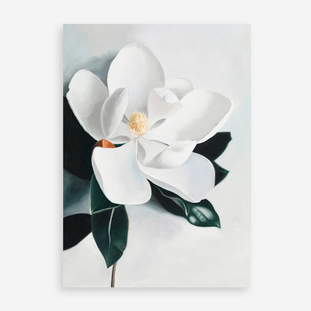 Shop White Magnolia II Art Print a floral themed painted wall art print from The Print Emporium wall artwork collection - Buy Australian made fine art painting style poster and framed prints for the home and your interior decor room, TPE-669-AP