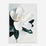 Shop White Magnolia II Art Print a floral themed painted wall art print from The Print Emporium wall artwork collection - Buy Australian made fine art painting style poster and framed prints for the home and your interior decor room, TPE-669-AP