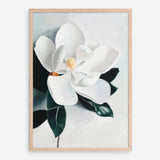 Shop White Magnolia II Art Print a floral themed painted wall art print from The Print Emporium wall artwork collection - Buy Australian made fine art painting style poster and framed prints for the home and your interior decor room, TPE-669-AP