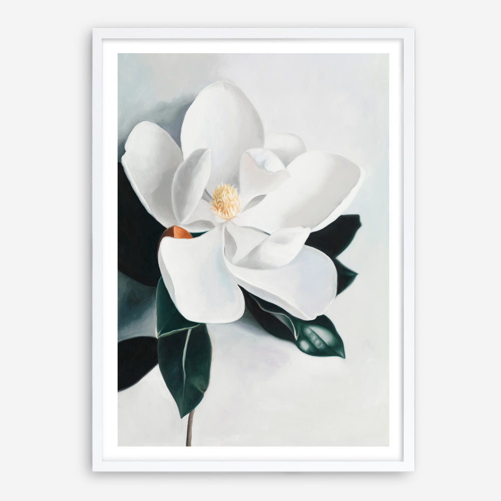 Shop White Magnolia II Art Print a floral themed painted wall art print from The Print Emporium wall artwork collection - Buy Australian made fine art painting style poster and framed prints for the home and your interior decor room, TPE-669-AP