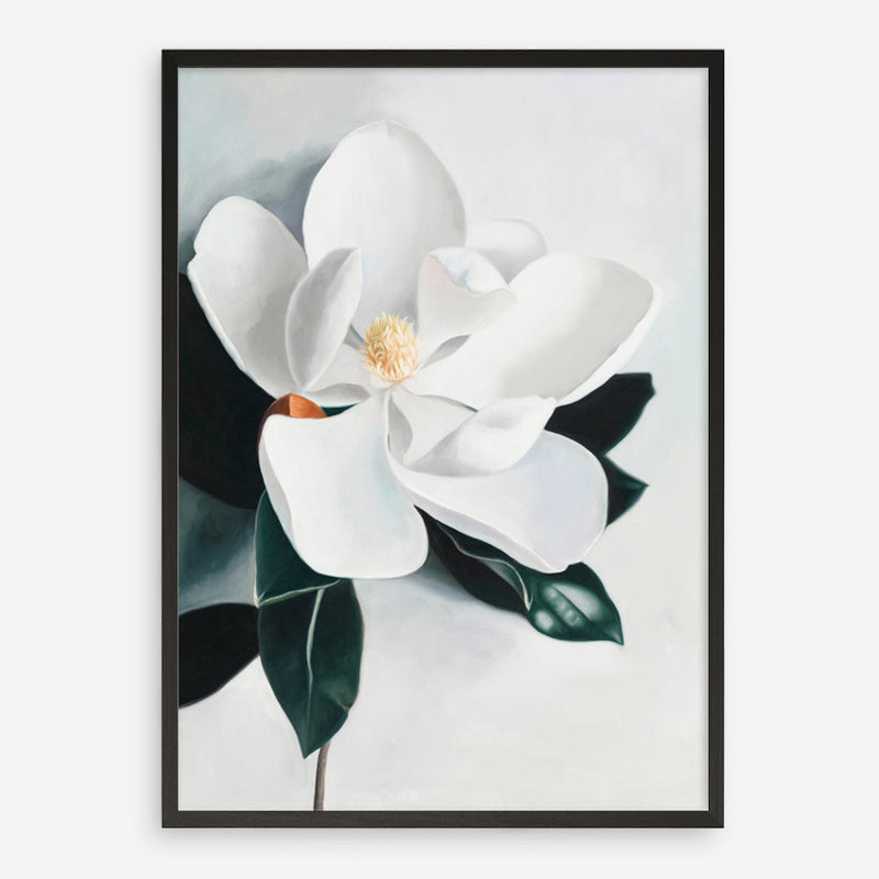 Shop White Magnolia II Art Print a floral themed painted wall art print from The Print Emporium wall artwork collection - Buy Australian made fine art painting style poster and framed prints for the home and your interior decor room, TPE-669-AP