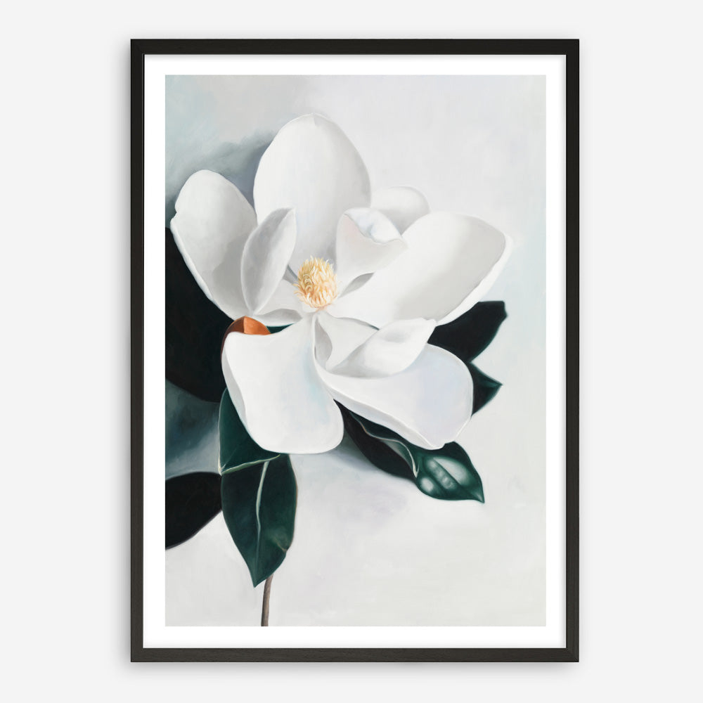 Shop White Magnolia II Art Print a floral themed painted wall art print from The Print Emporium wall artwork collection - Buy Australian made fine art painting style poster and framed prints for the home and your interior decor room, TPE-669-AP