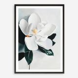 Shop White Magnolia II Art Print a floral themed painted wall art print from The Print Emporium wall artwork collection - Buy Australian made fine art painting style poster and framed prints for the home and your interior decor room, TPE-669-AP