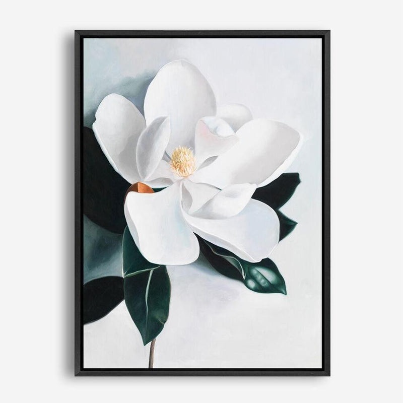 Shop White Magnolia II Canvas Print a floral themed painted framed canvas wall art print from The Print Emporium artwork collection - Buy Australian made fine art painting style stretched canvas prints for the home and your interior decor space, TPE-669-CA-35X46-NF