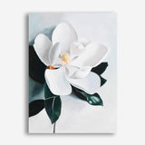 Shop White Magnolia II Canvas Print a floral themed painted framed canvas wall art print from The Print Emporium artwork collection - Buy Australian made fine art painting style stretched canvas prints for the home and your interior decor space, TPE-669-CA-35X46-NF