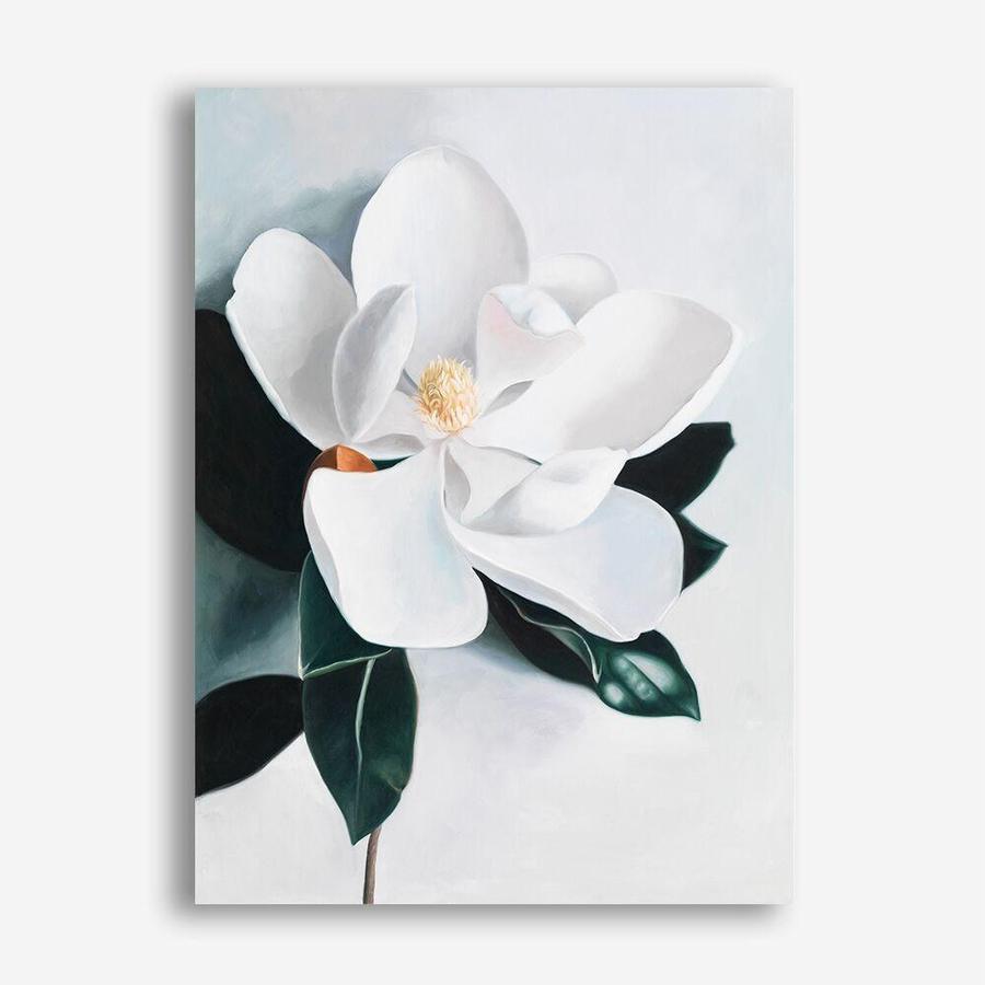 Shop White Magnolia II Canvas Print a floral themed painted framed canvas wall art print from The Print Emporium artwork collection - Buy Australian made fine art painting style stretched canvas prints for the home and your interior decor space, TPE-669-CA-35X46-NF