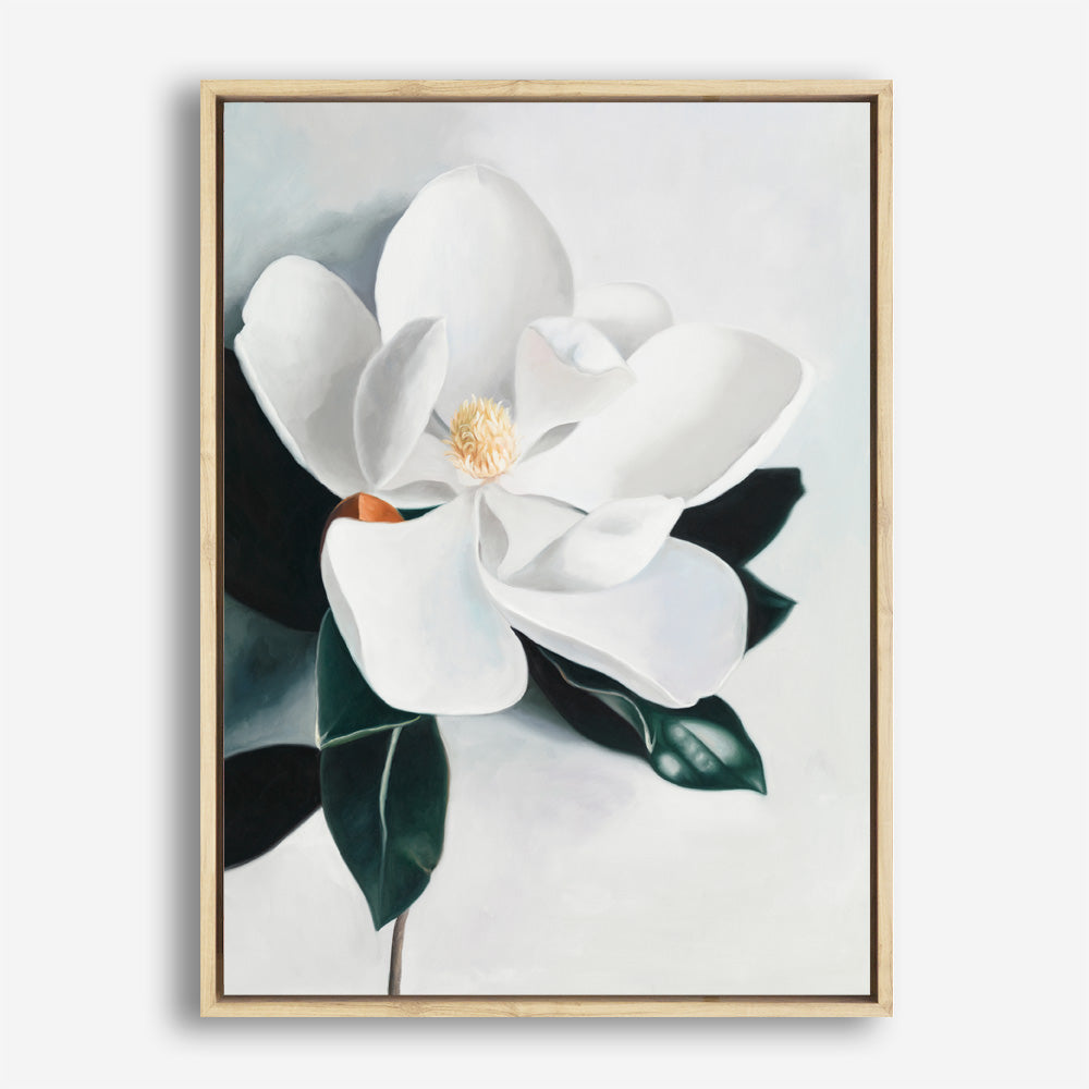 Shop White Magnolia II Canvas Print a floral themed painted framed canvas wall art print from The Print Emporium artwork collection - Buy Australian made fine art painting style stretched canvas prints for the home and your interior decor space, TPE-669-CA-35X46-NF