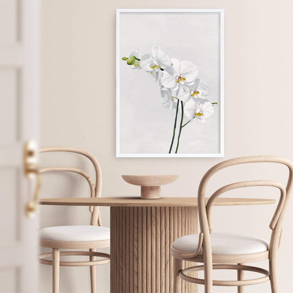 Shop White Orchid Stems Art Print a floral themed painted wall art print from The Print Emporium wall artwork collection - Buy Australian made fine art painting style poster and framed prints for the home and your interior decor room, TPE-281-AP