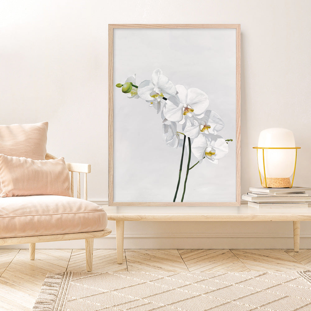 Shop White Orchid Stems Art Print a floral themed painted wall art print from The Print Emporium wall artwork collection - Buy Australian made fine art painting style poster and framed prints for the home and your interior decor room, TPE-281-AP