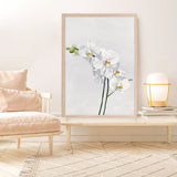 Shop White Orchid Stems Art Print a floral themed painted wall art print from The Print Emporium wall artwork collection - Buy Australian made fine art painting style poster and framed prints for the home and your interior decor room, TPE-281-AP