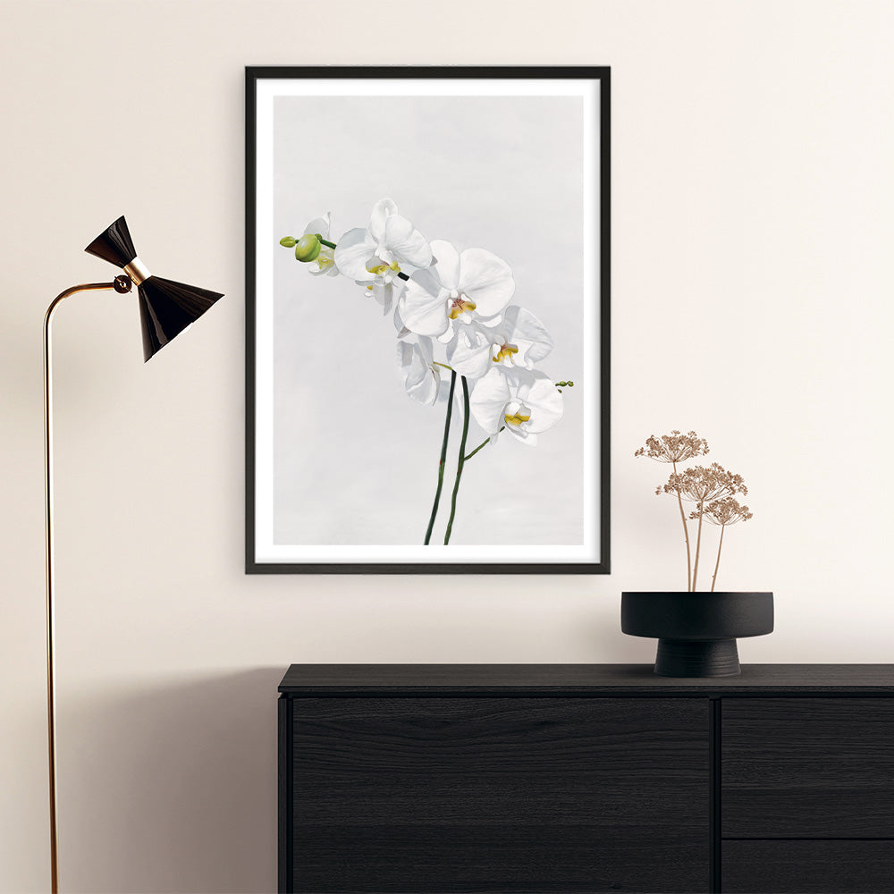 Shop White Orchid Stems Art Print a floral themed painted wall art print from The Print Emporium wall artwork collection - Buy Australian made fine art painting style poster and framed prints for the home and your interior decor room, TPE-281-AP