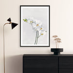Shop White Orchid Stems Art Print a floral themed painted wall art print from The Print Emporium wall artwork collection - Buy Australian made fine art painting style poster and framed prints for the home and your interior decor room, TPE-281-AP