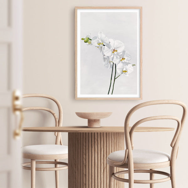 Shop White Orchid Stems Art Print a floral themed painted wall art print from The Print Emporium wall artwork collection - Buy Australian made fine art painting style poster and framed prints for the home and your interior decor room, TPE-281-AP