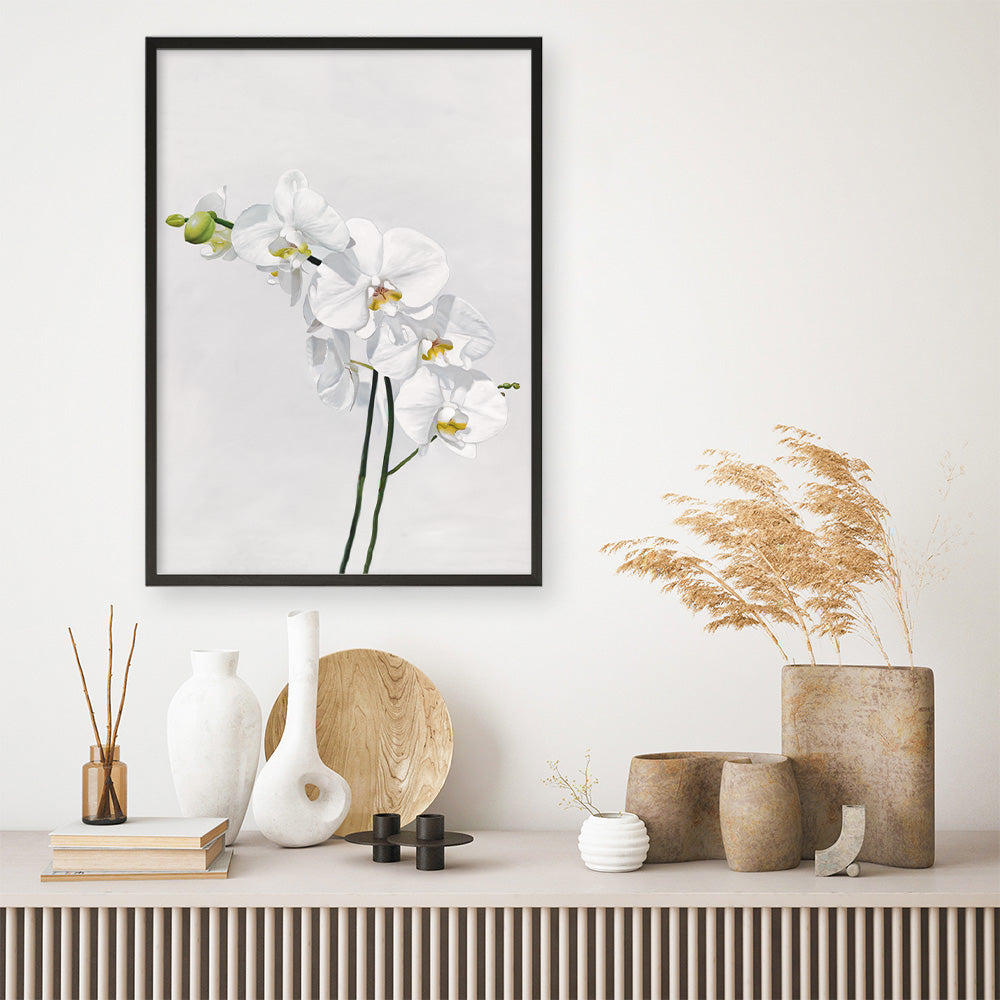 Shop White Orchid Stems Art Print a floral themed painted wall art print from The Print Emporium wall artwork collection - Buy Australian made fine art painting style poster and framed prints for the home and your interior decor room, TPE-281-AP