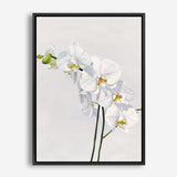 Shop White Orchid Stems Canvas Print a floral themed painted framed canvas wall art print from The Print Emporium artwork collection - Buy Australian made fine art painting style stretched canvas prints for the home and your interior decor space, TPE-281-CA-35X46-NF