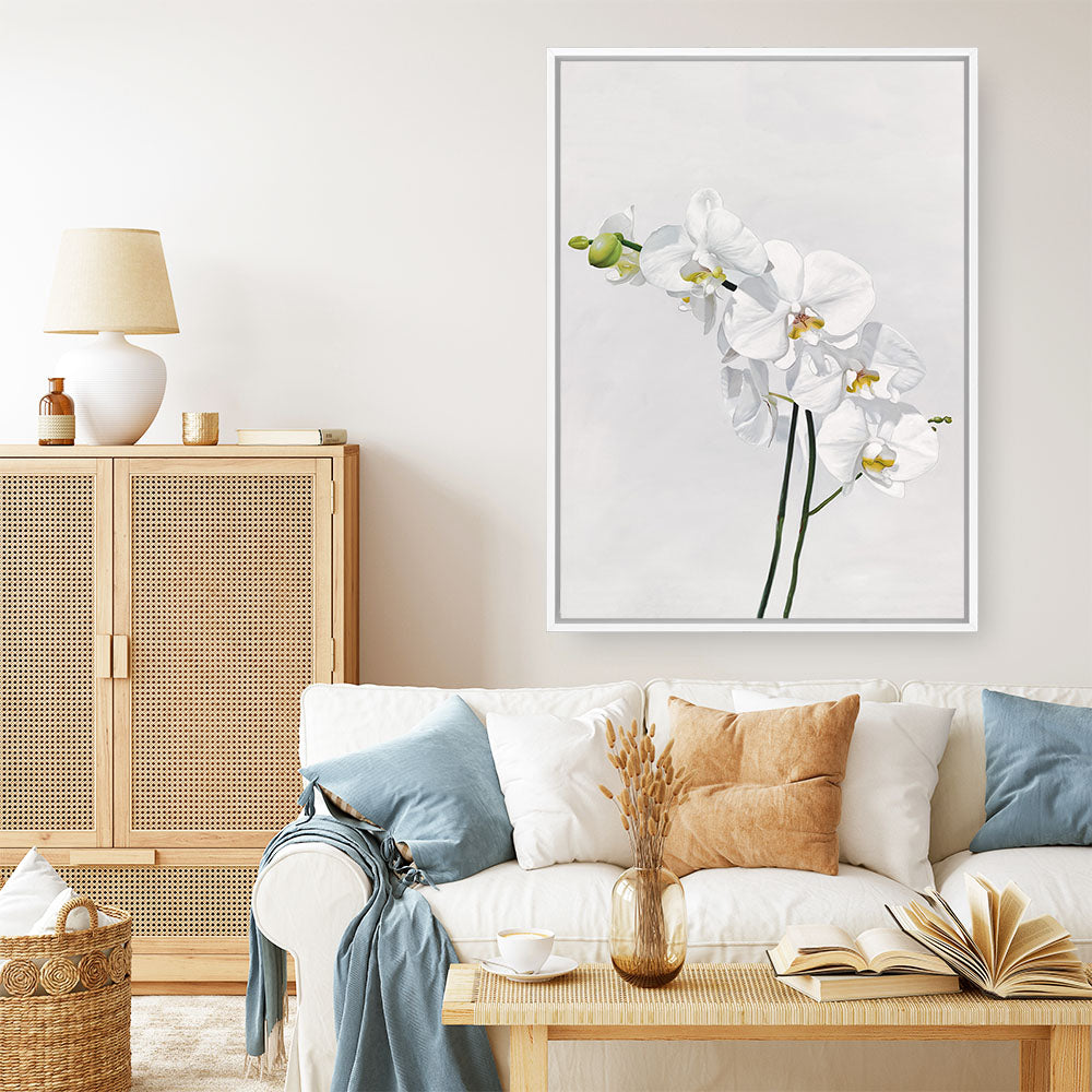 Shop White Orchid Stems Canvas Print a floral themed painted framed canvas wall art print from The Print Emporium artwork collection - Buy Australian made fine art painting style stretched canvas prints for the home and your interior decor space, TPE-281-CA-35X46-NF